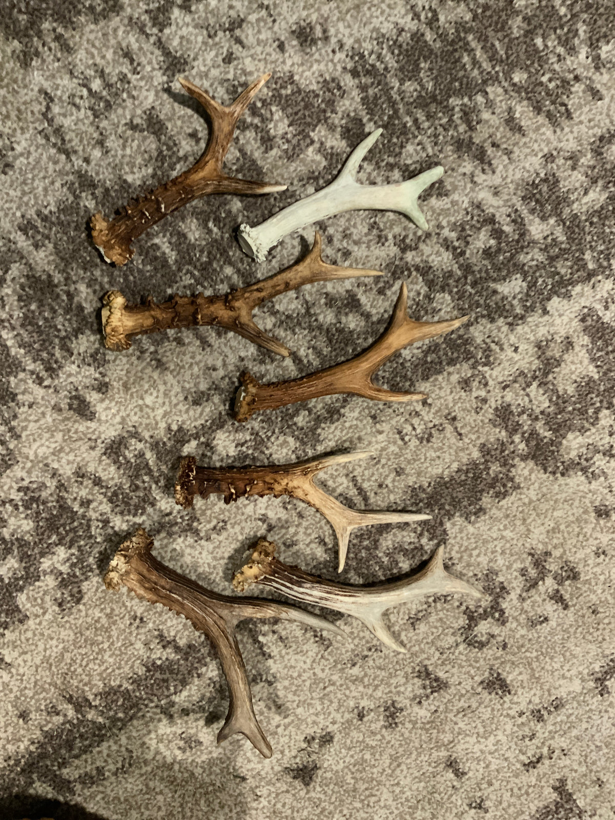 Antlers