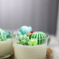 Large Glass Succulent Cacti Candle, Succulent Cacti Terrariu: Baja Cactus Blossom from Rockin' D On The Ridge in La Harpe, IL
