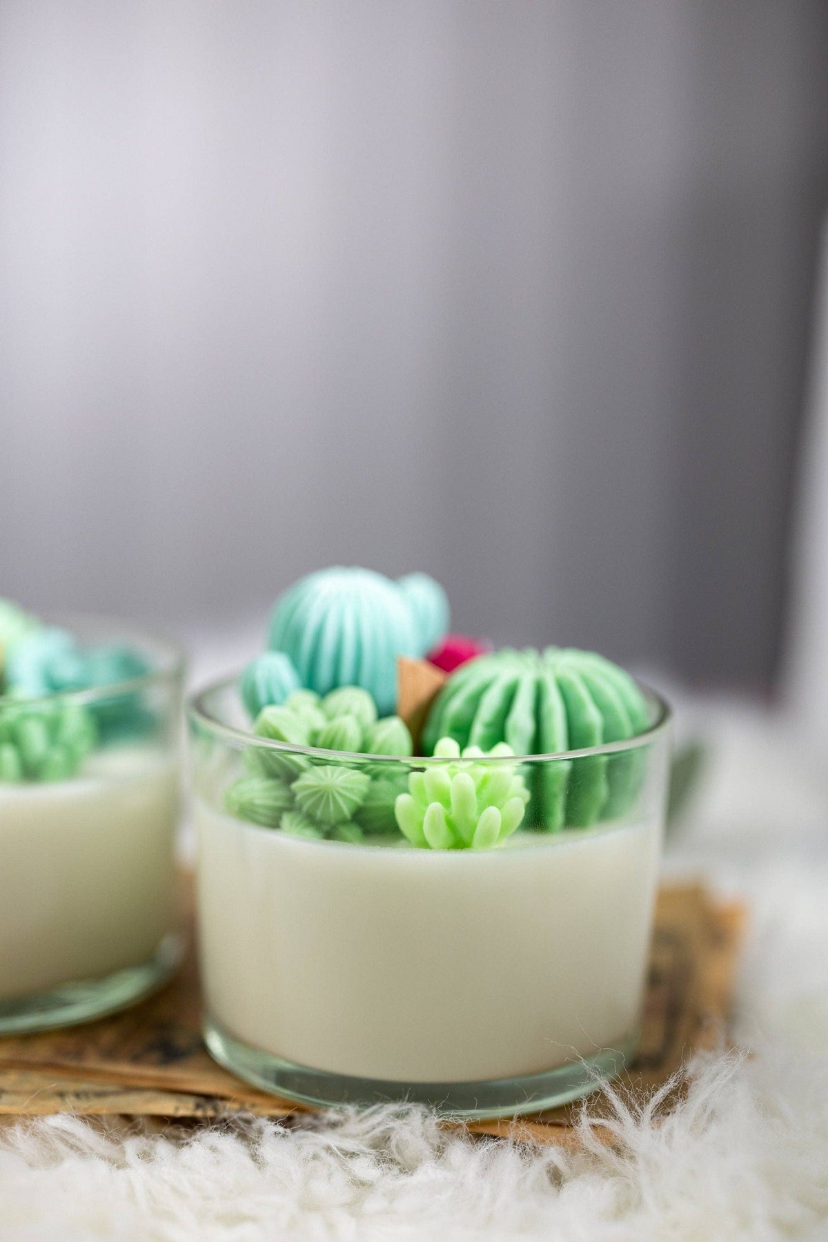 Large Glass Succulent Cacti Candle, Succulent Cacti Terrariu: Baja Cactus Blossom from Rockin' D On The Ridge in La Harpe, IL