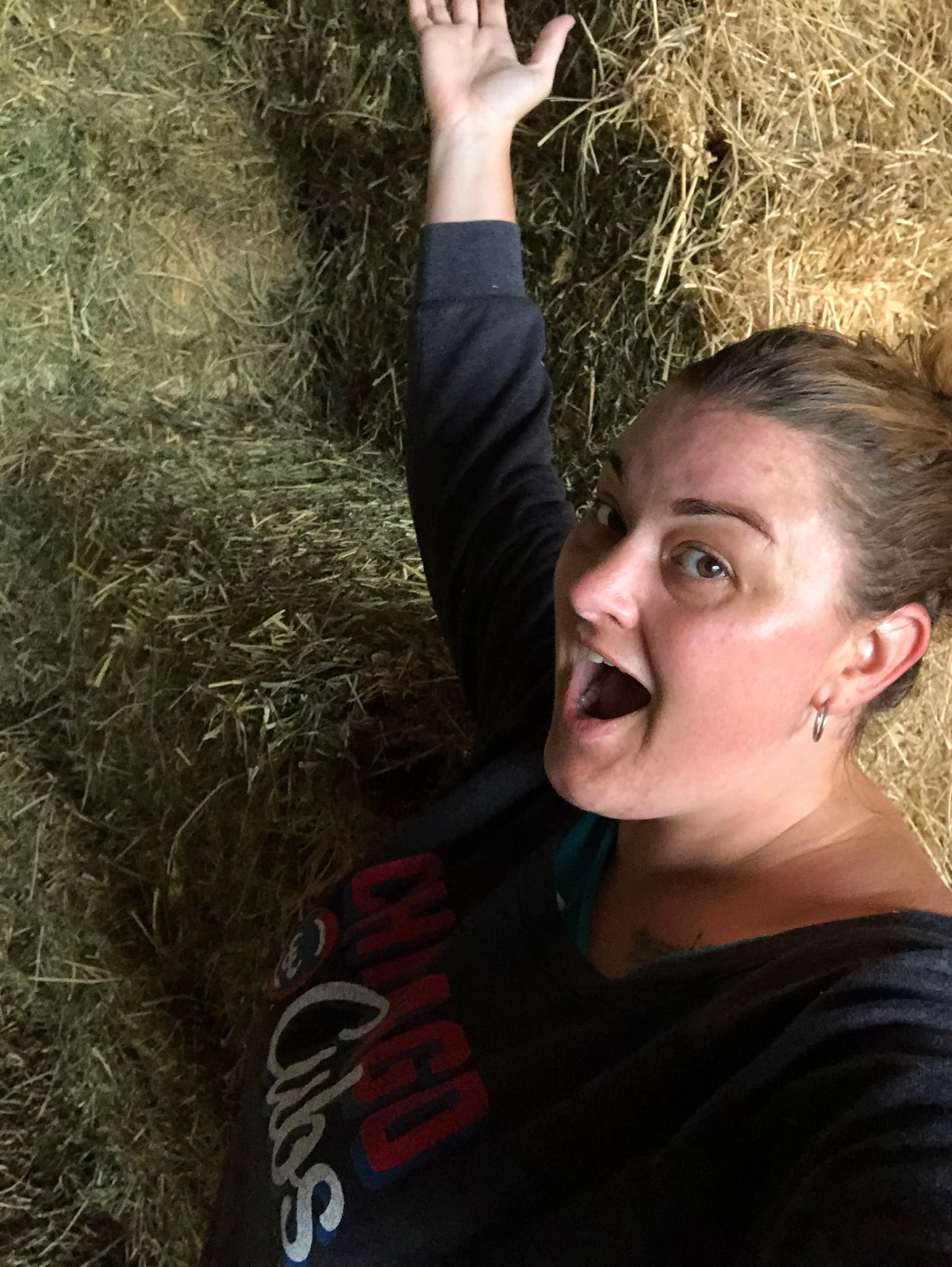 Small Square Bales Alfalfa