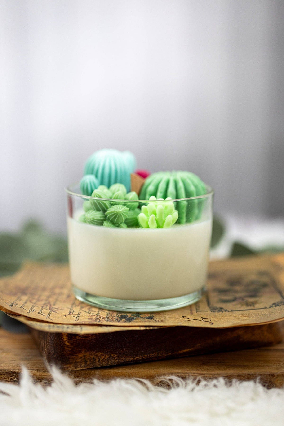 Large Glass Succulent Cacti Candle, Succulent Cacti Terrariu: Baja Cactus Blossom from Rockin' D On The Ridge in La Harpe, IL