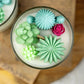 Large Glass Succulent Cacti Candle, Succulent Cacti Terrariu: Baja Cactus Blossom from Rockin' D On The Ridge in La Harpe, IL
