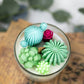 Large Glass Succulent Cacti Candle, Succulent Cacti Terrariu: Baja Cactus Blossom from Rockin' D On The Ridge in La Harpe, IL