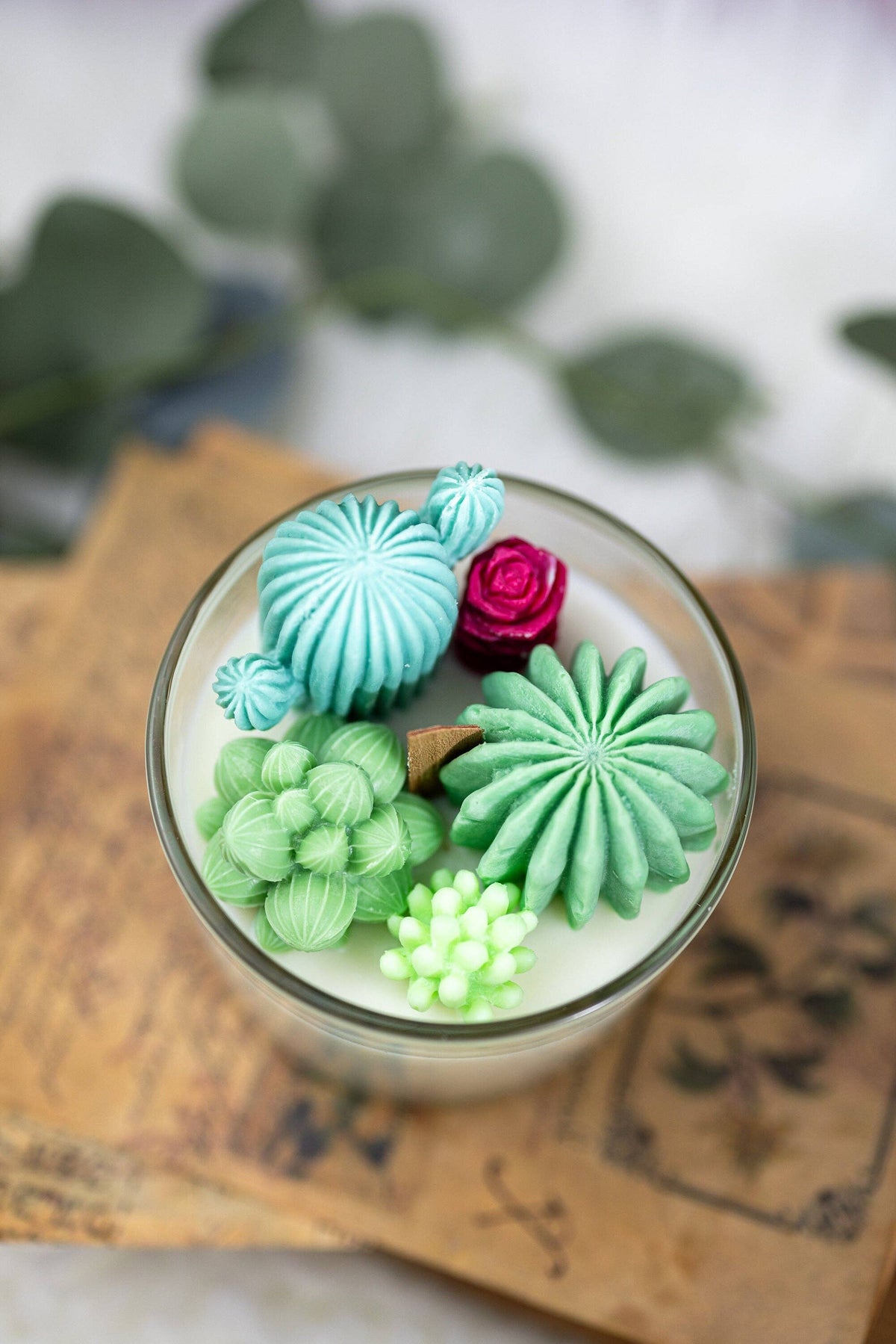 Large Glass Succulent Cacti Candle, Succulent Cacti Terrariu: Baja Cactus Blossom from Rockin' D On The Ridge in La Harpe, IL