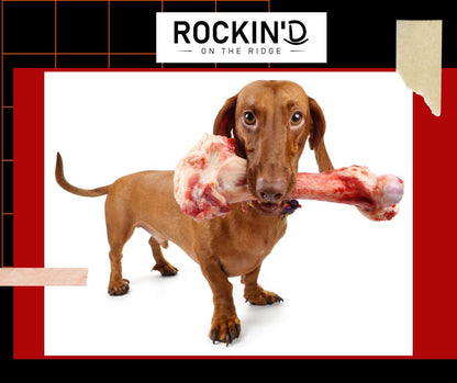 Doggy Pack from Rockin' D On The Ridge in La Harpe, IL