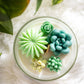 Large Glass Succulent Cacti Candle, Succulent Cacti Terrariu: Baja Cactus Blossom from Rockin' D On The Ridge in La Harpe, IL