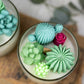 Large Glass Succulent Cacti Candle, Succulent Cacti Terrariu: Baja Cactus Blossom from Rockin' D On The Ridge in La Harpe, IL
