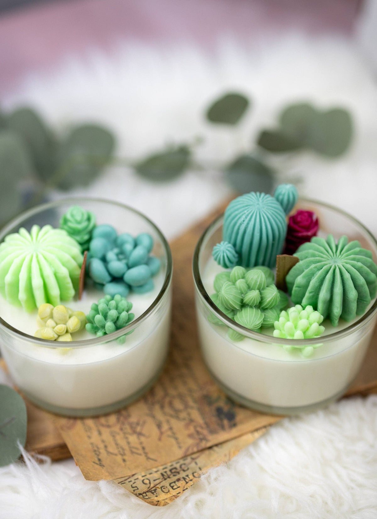 Large Glass Succulent Cacti Candle, Succulent Cacti Terrariu: Baja Cactus Blossom from Rockin' D On The Ridge in La Harpe, IL
