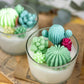 Large Glass Succulent Cacti Candle, Succulent Cacti Terrariu: Baja Cactus Blossom from Rockin' D On The Ridge in La Harpe, IL